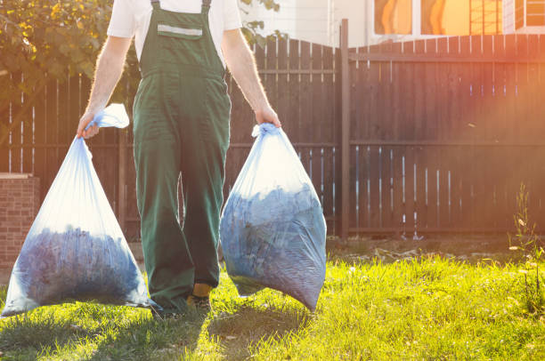 Professional Junk Removal Services in Cape Neddick, ME